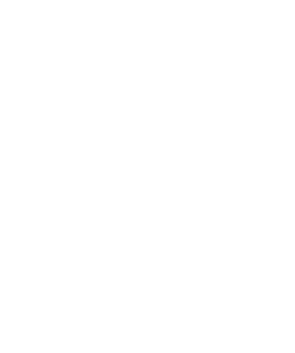 Sertifisering: Trygg strømhandel i samarbeid med DNV. Stempel.
